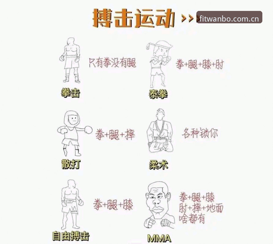 万搏体育功能的5个隐藏技巧，老用户都在用的实战经验分享
